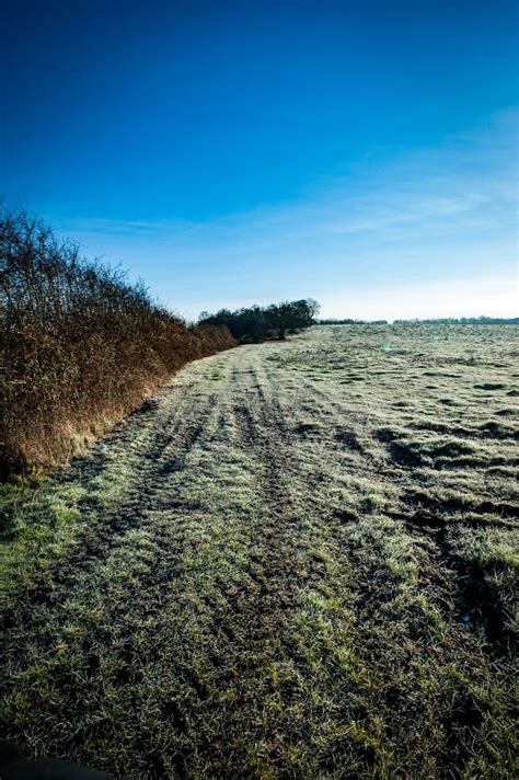 Fenland Landscape In Winter Stock Photo - Image of environment, fenland ...