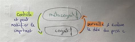 Qu est ce que la métacognition Flashcards Quizlet