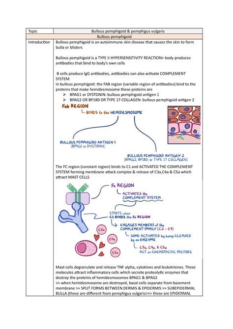 Pemphigus Vulgaris Vs Bullous Pemphigoid