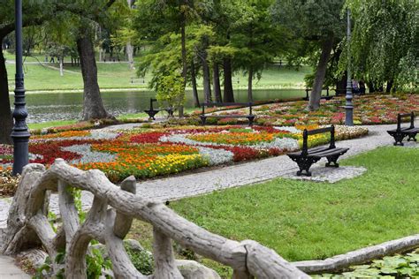 T Rgul De Pa Te Din Craiova Va Fi Organizat N Parcul Nicolae Romanescu