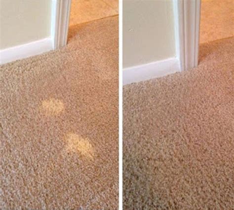 How To Fix Bleach Stain On Tan Carpet Homeminimalisite