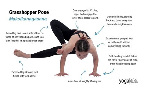 Mastering The Yoga Grasshopper Pose A Step By Step Guide Learn All