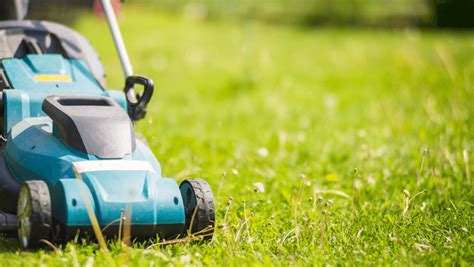 Top Melhores Cortadores De Grama Para Comprar Em