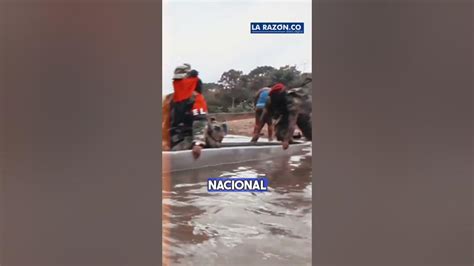 Más De 25 Mil Personas Se Encuentran En Confinamiento En Chocó Por Paro Armado Del Eln Youtube