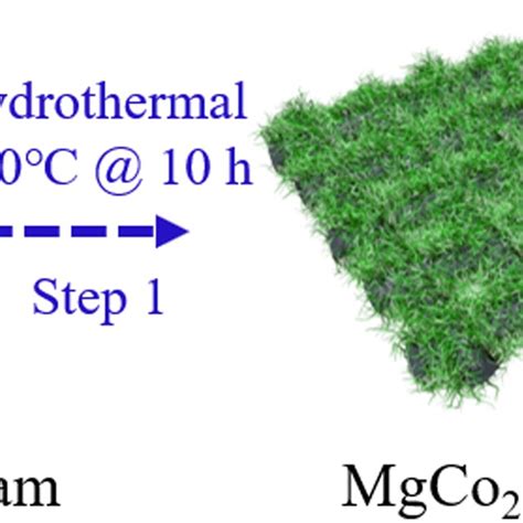 Schematic Illustration Of The Preparation Of The Dual Morphological Mgco2o4 Download