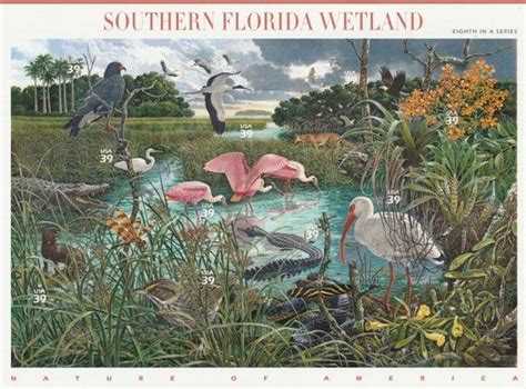 Unused Full Sheet 2006 Southern Florida Wetland Nature Of Etsy