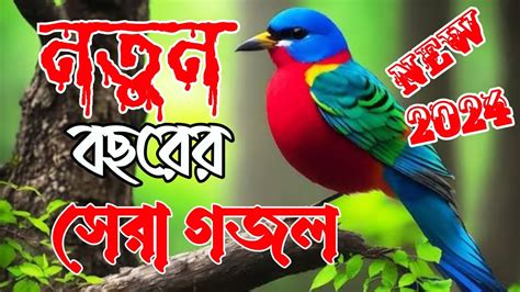 নতন বছরর সর গজল নউ গজলয২০২৪ notun gojol Islamic nat Islamic