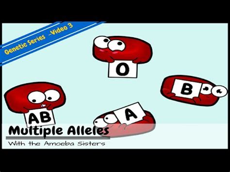 Multiple Alleles — Definition & Examples - Expii 