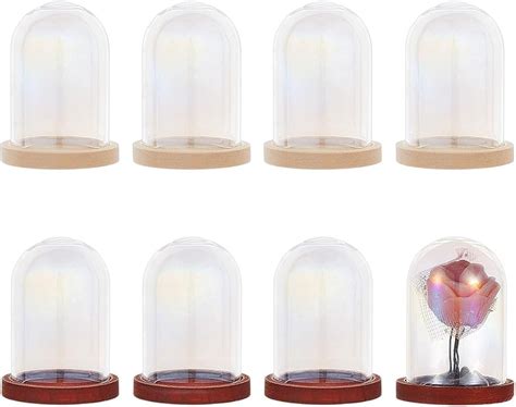12 Sets Mini Glass Dome Cloches Cloche Bell Jar Terrarium Glass Dome