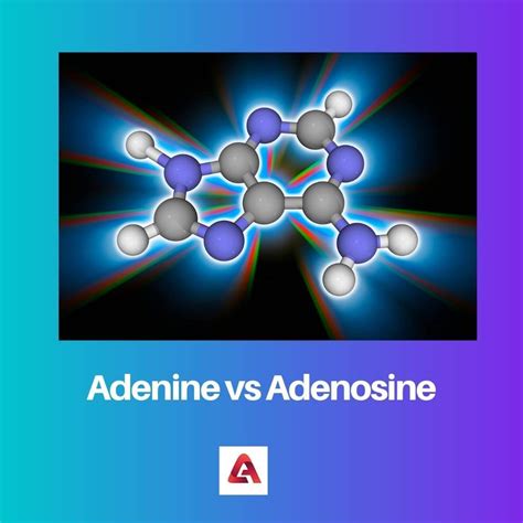 Adenine Vs Adenosine Difference And Comparison