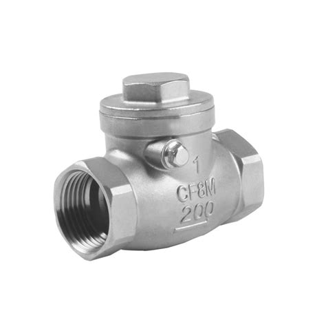 200wog Stainless Steel Bspt Threaded 304 316 Connection Swing Check Valve China 304 Check