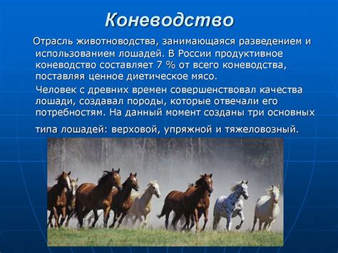 Животноводство - презентация онлайн