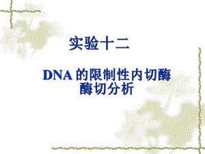 Dna