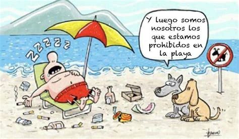 Natura M Ambiental On Twitter Humor Spanish Jokes Comics