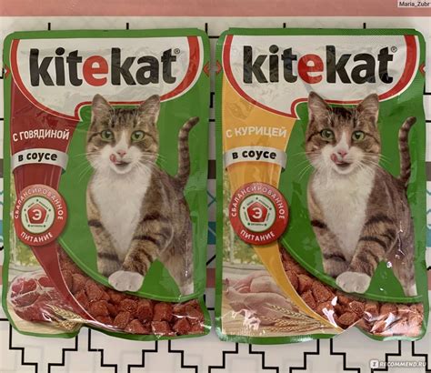 Kitekat («Китикет»): плюсы и минусы корма для кошек, его состав, виды ...