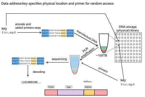 GitHub - Muhammad-Dah/DNA_Storage_System