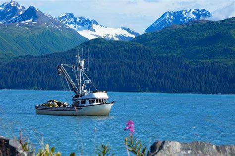 3 Best Fishing Packages In Alaska to Consider In 2025