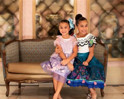 Bibbidi Bobbidi Boutique Dress Options And Pricing Allears Net