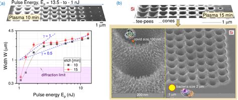 Figure From Si Cr Nano Alloys Fabricated By Direct Femtosecond Laser