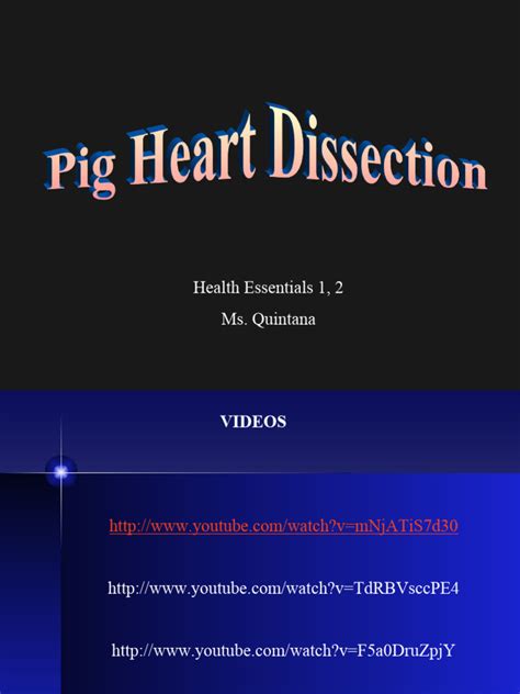 Pig Heart Dissection Pre-Lab | PDF | Heart Valve | Heart