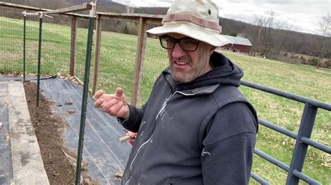 Planting Sugar Snap Peas Youtube