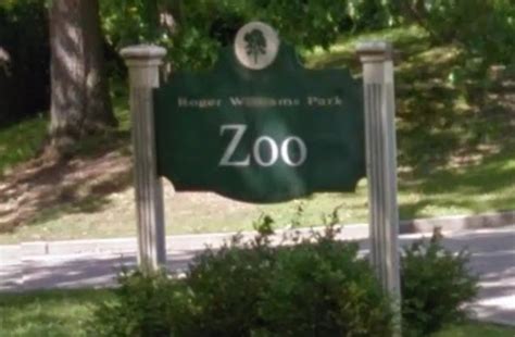 New Animals And Exhibits Coming To Roger Williams Park Zoo