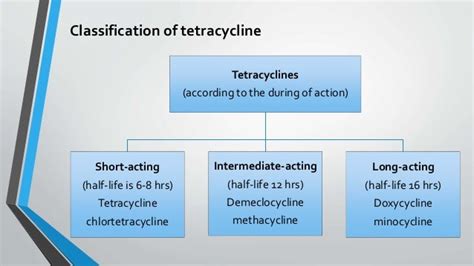 Mechanism Of Action Of Tetracycline