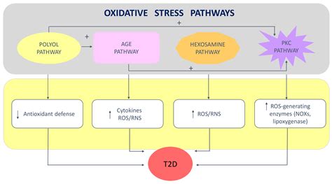 Antioxidants Free Full Text Selenium And Selenoproteins At The