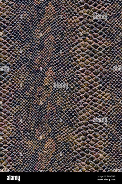 Backgrounds Snake Skin Scaly Skin Background Snake Skins Stock