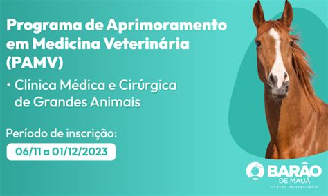 Programa De Aprimoramento Em Medicina Veterin Ria Pamv Cl Nica