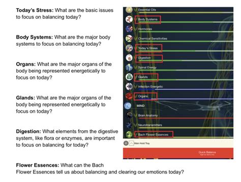 Genius Biofeedback System Healing Enerchi Acupuncture Brandon