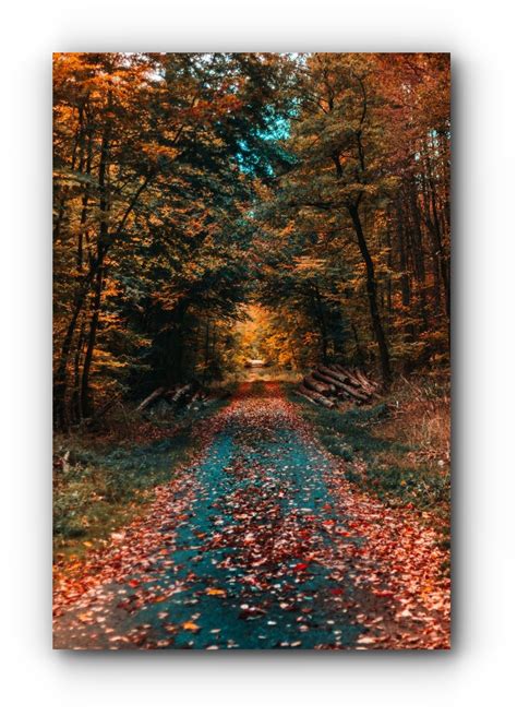 Naked Quando A Can O Emociona E Faz Transparecer A Alma Vivendo Bem Feliz