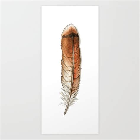 Red Tailed Hawk Feather Art Print by Bird Nerd Gallery | Society6