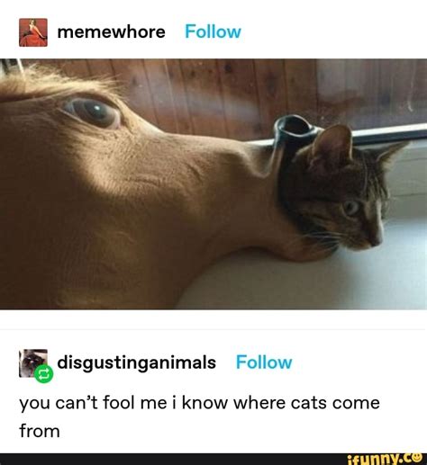 I See You With Them Dry Ass Lips Haha Dont Try To Lick Them Now Dry Lip Having Ass