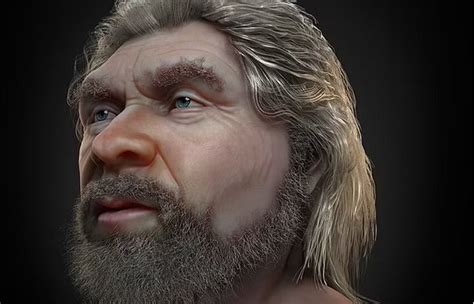 Face Of Neanderthal Who Lived 56000 Years Ago Reconstructed History