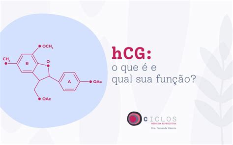 hCG o que é e qual sua função