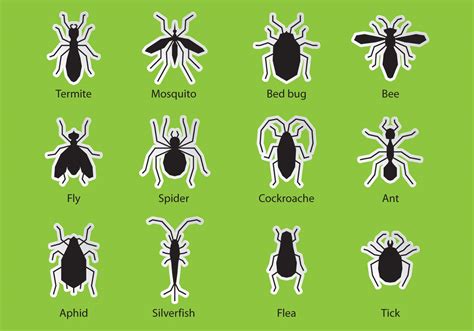 Pest Control Bugs 103227 Vector Art at Vecteezy