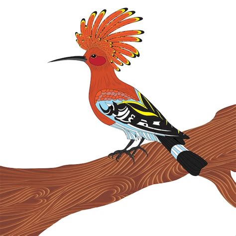 Premium Vector Bird Hoopoe Vector Illustration