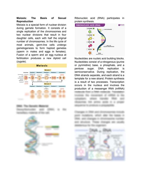 Solution Cell Division And Inheritance Studypool