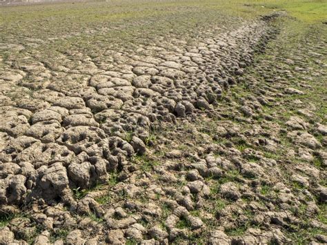 Dry Land in a Dry Reservoir Due To Global Warming Stock Photo - Image of dehydrated, agriculture ...