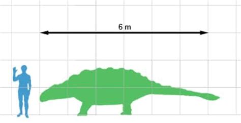 Ankylosaurus | The Armored Dinosaur of the Late Cretaceous