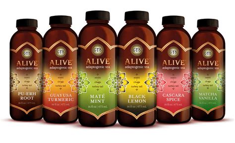 Gts Living Foods Launches Adaptogenic Teas 2019 05 23 Beverage Industry