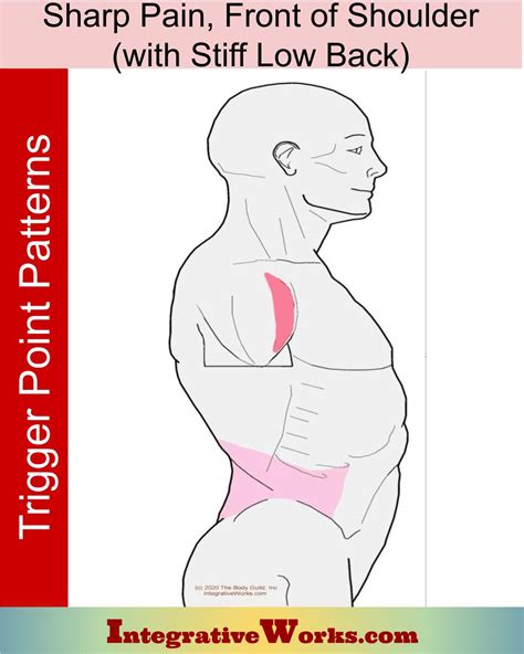 Sharp Pain in Front of Shoulder, with Tight Low Back - Integrative Works