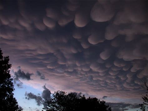 Mammatus Clouds: Sky Breasts