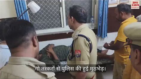 Video Pratapgarh गोतस्करों और पुलिस के बीच हुई आधीरात हुई मुठभेड़