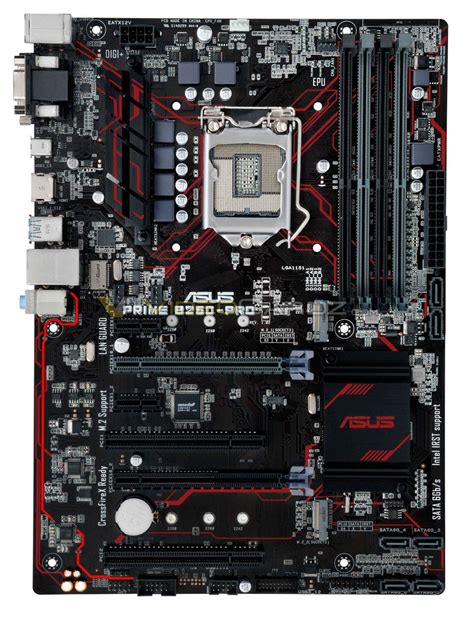 Asus Prime B250 Pro Motherboard Detailed Techpowerup