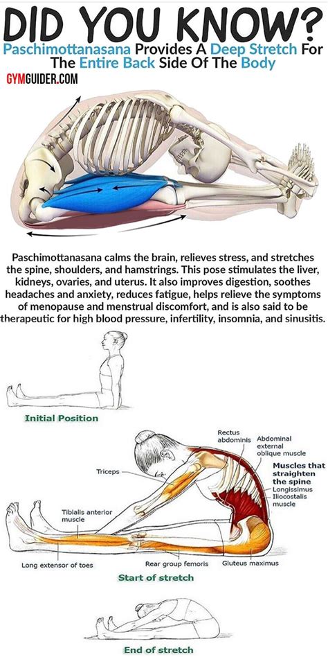 12 Core Exercises for a Stronger Core and Better Posture - GymGuider ...