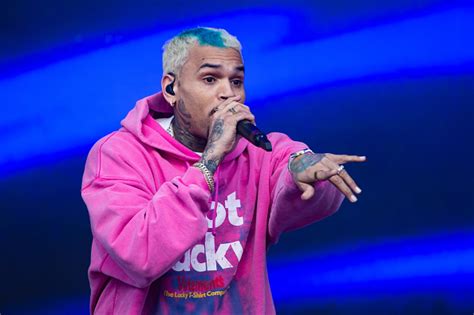 Chris Brown Defends Viral Meet And Greet Fan Photos I Have The Coolest Fans On The Planet