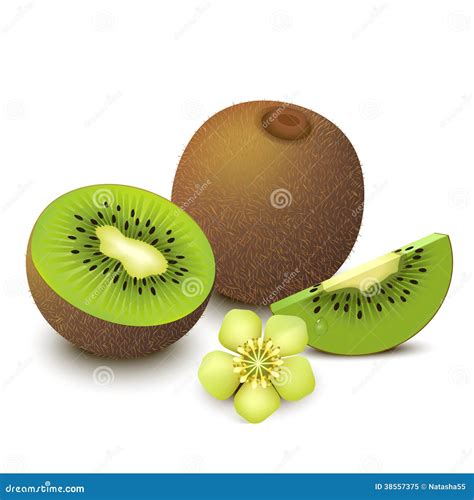 Kiwi Fruit Flavored Milk Background Cartoon Vector | CartoonDealer.com