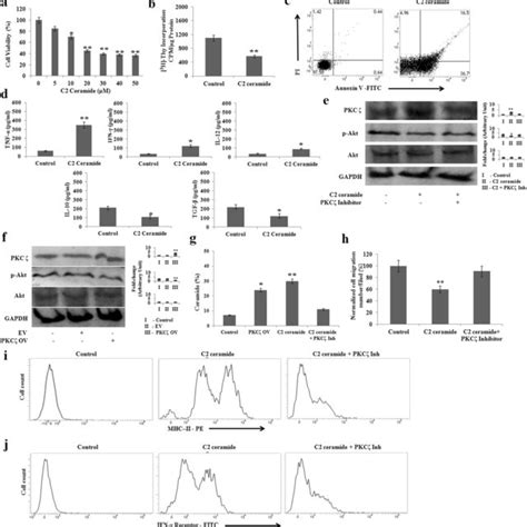 C2 Ceramide Inhibits Cell Proliferation And Induces Apoptosis In B16f10